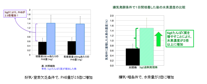 バイオプラスチック（PHB）と水素の生産量の増加の図