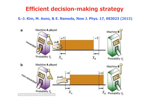 Figure of Tug-of-War Dynamics