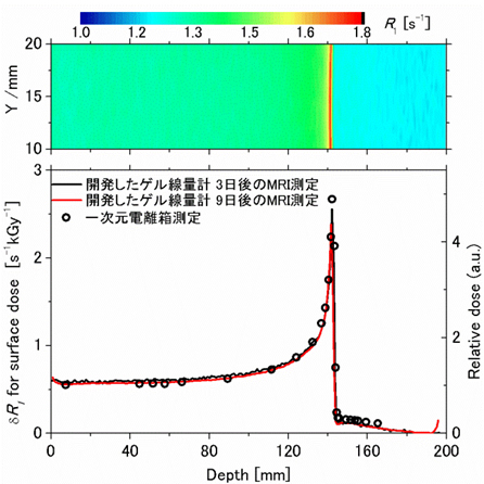 炭素線照射により得られる二次元分布と電離箱測定とゲル線量計との比較の図