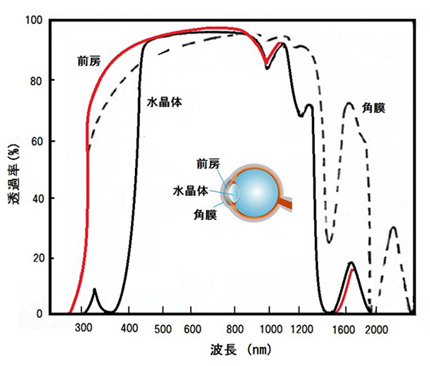 眼球各部位における光の透過率の図