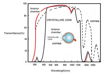 Figure showing the transmittance of light in the eyeball Figure showing the transmittance of light in the eyeball