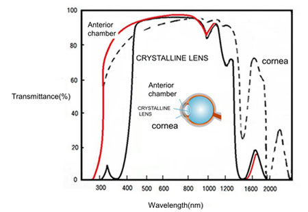 Figure showing the transmittance of light in the eyeball