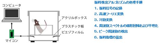 振戦検出器および検出アルゴリズムの図