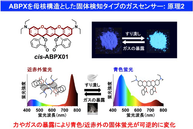 ガスの吸着と力学的刺激により、青色/近赤外の固体蛍光が可逆的に変化する様子の図