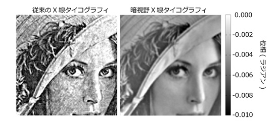 従来のX線タイコグラフィと暗視野X線タイコグラフィによる再構成像の図