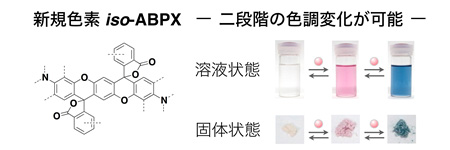 iso-ABPXの一般構造とその色調変化の図