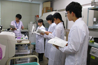 写真:最先端の共焦点レーザー顕微鏡で、自分で作ったサンプルを観察