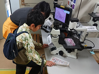 写真：「ES細胞から体の細胞をつくってみたよ」にて顕微鏡を覗き込む少年