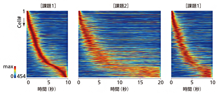 海馬から記録された454個の時間細胞の活動の図