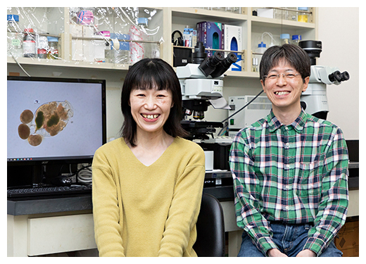 常泉研究員と山田美恵子テクニカルスタッフの写真