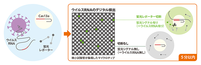 世界最速の検出法 「SATORI」の図