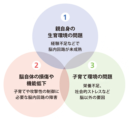 大きく三つに分類された虐待が起こる要因の図