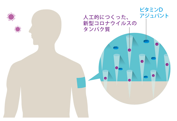 貼る新型コロナウイルスワクチンのイメージの図