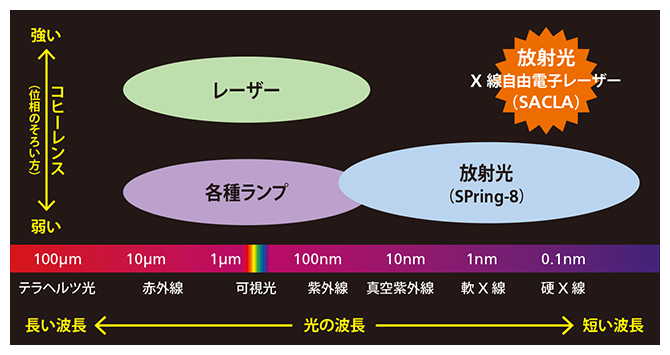 光の種類とその波長の図