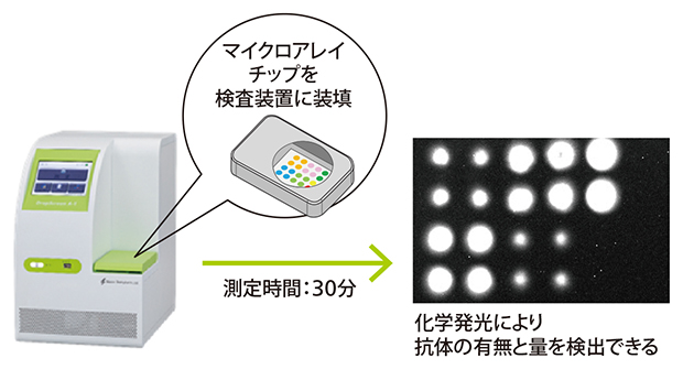 マイクロアレイチップを使った検査の流れの図