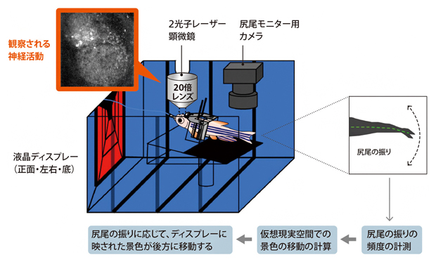 仮想現実空間実験システムの図