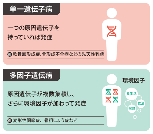 単一遺伝子病と多因子遺伝病の図