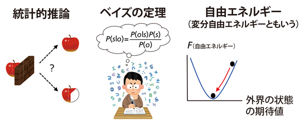 統計的推論、ベイズの定理、自由エネルギーの図