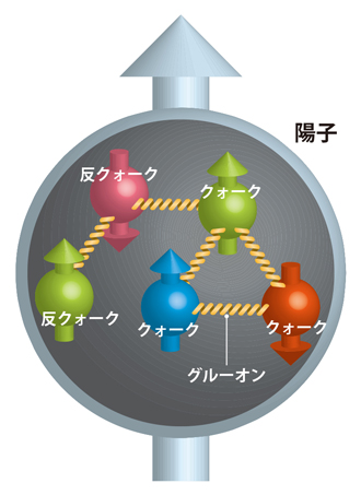 陽子のスピンの図