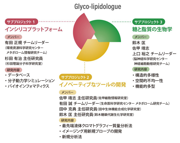 独創的研究提案制度課題「糖と脂質の構成原理を読み解く先端研究」の構成の図