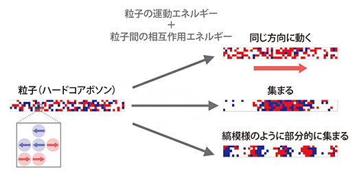 粒子の運動エネルギーと粒子間の相互作用によって引き起こされる集団行動の図