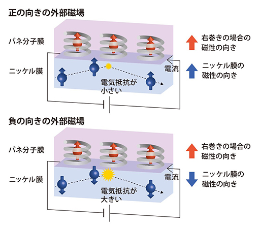 バネ分子（右巻き）による磁気抵抗効果の実験の図