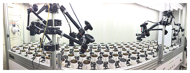 全自動植物表現型解析システム「RIPPS」の写真