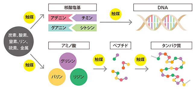 無機物から有機物へ 化学進化の過程の図