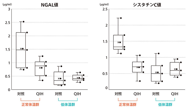 正常体温での冬眠の誘導と腎障害の評価の図