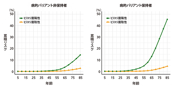 病的バリアントとピロリ菌感染情報を組み合わせた胃がんの累積リスクの図