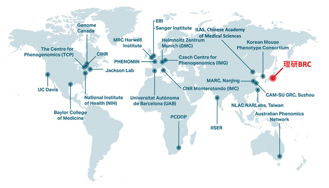 IMPCの国際体制の図