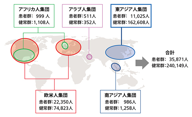 解析した人種集団ごとのサンプル数の図