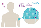 貼る新型コロナウイルスワクチンのイメージの図
