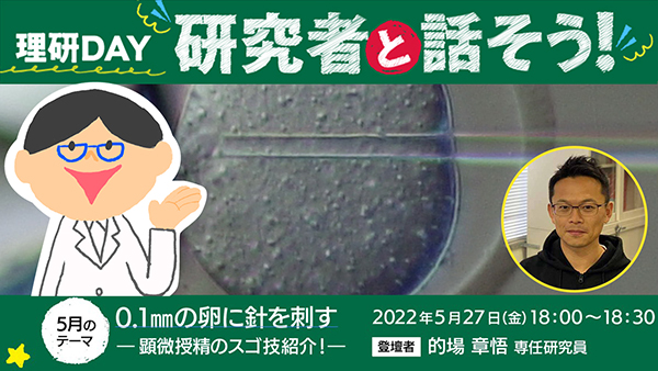 理研DAY：研究者と話そう！「0.1㎜の卵に針を刺す ―顕微授精のスゴ技紹介！―」の画像