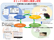 オミックス解析と橋渡し研究のイメージ図