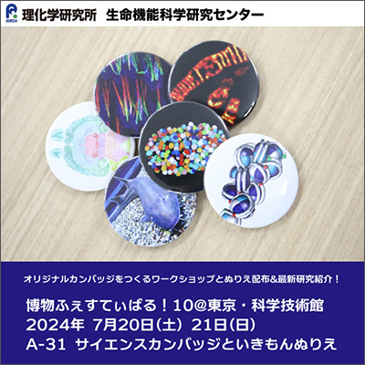 博物ふぇすてぃばる!10「サイエンスカンバッジワークショップ」と「いきもんぬりえ」の画像