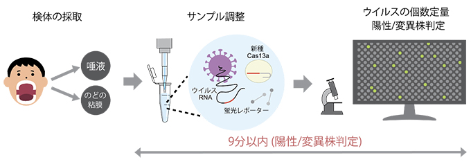 1分子単位で病原体の遺伝子を識別できる非増幅遺伝子検査法(SATORI法)の図