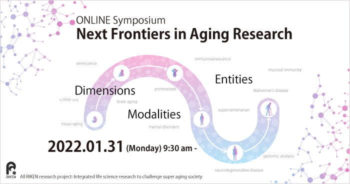 Next Frontiers in Aging Research image