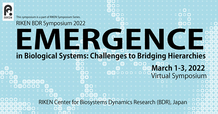 RIKEN BDR Symposium 2022 Emergence in Biological Systems: Challenges to Bridging Hierarchiesの画像