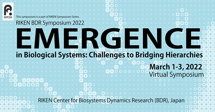 RIKEN BDR Symposium 2022 Emergence in Biological Systems: Challenges to Bridging Hierarchies image