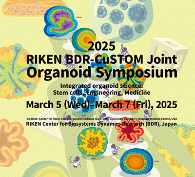 2025 RIKEN BDR-CuSTOM Joint Organoid Symposiumの画像
