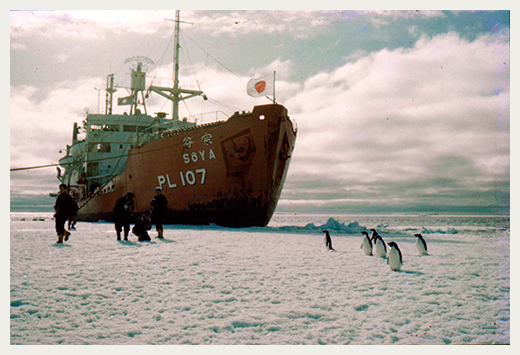 南極（オングル島）に接岸した「宗谷」の写真