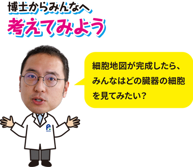 博士からみんなへ、考えてみよう「細胞地図が完成したら、みんなはどの臓器の細胞を見てみたい?」