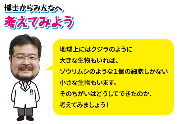 博士からみんなへ、考えてみよう「地球上にはクジラのように大きな生物もいれば、ゾウリムシのように1個の細胞しかない小さな生物もいます。そのちがいはどうしてできたのか、考えてみましょう！」