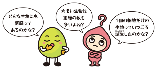 キャラクター画像「どんな生物にも腎臓ってあるのかな?」「大きな生物は細胞の数も多いよね?」「1個の細胞だけの生物っていつごろ誕生したのかな?」