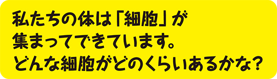 私たちの体は「細胞」が集まってできています。どんな細胞がどのくらいあるかな?