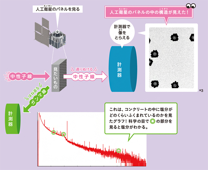 中性子ビームで見るステップ図