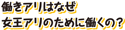 働きアリはなぜ女王アリのために働くの？