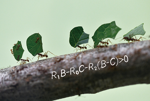 アリが葉を運んでいる写真