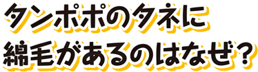 タンポポのタネに綿毛があるのはなぜ？